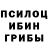 Псилоцибиновые грибы мухоморы Lena 0603