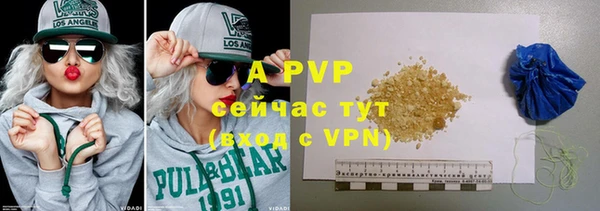 стафф Иннополис
