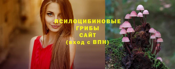 трава Инта