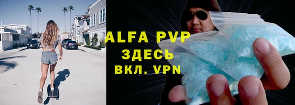 гидра Зеленокумск