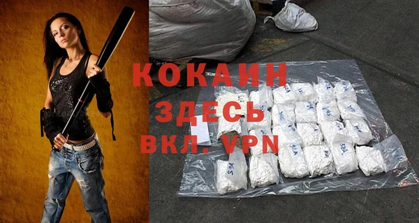 трава Инта