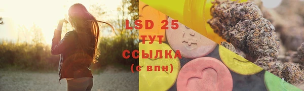 гидра Зеленокумск
