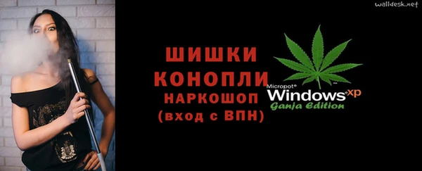 трава Инта