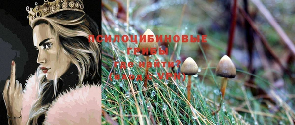 шишки Заводоуковск