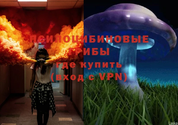 трава Инта