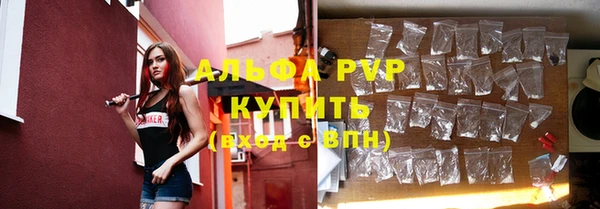 гидра Зеленокумск