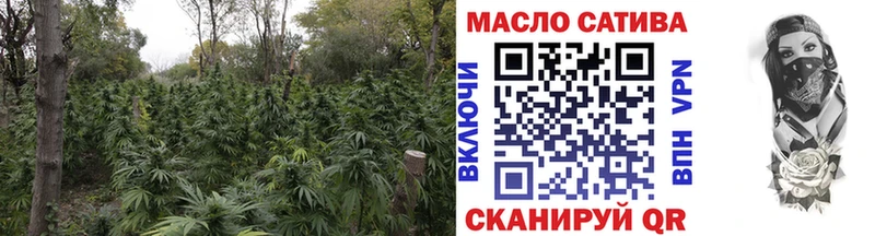 ТГК THC oil  Козьмодемьянск 