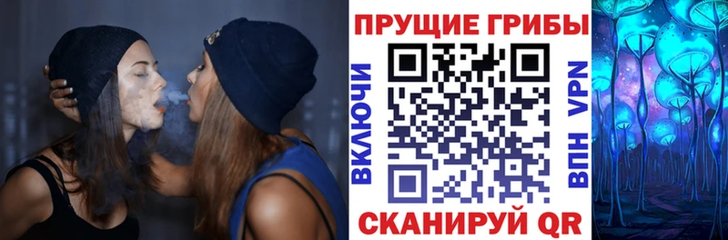 Галлюциногенные грибы мицелий  Козьмодемьянск 
