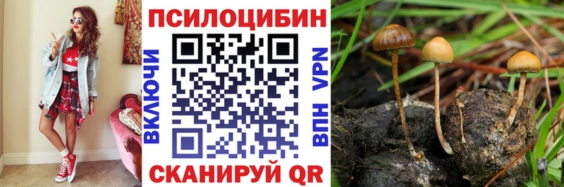 Галлюциногенные грибы мицелий Козьмодемьянск